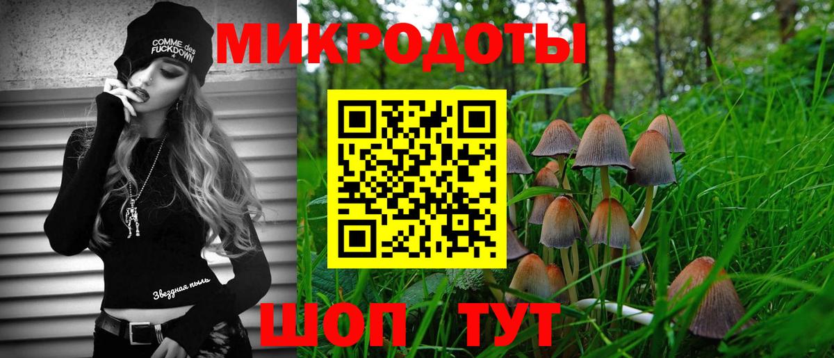 купить наркоту  Псилоцибиновые грибы Psilocybe  Галлюциногенные грибы Psilocybine cubensis  Вход с VPN  Гусиноозёрск 