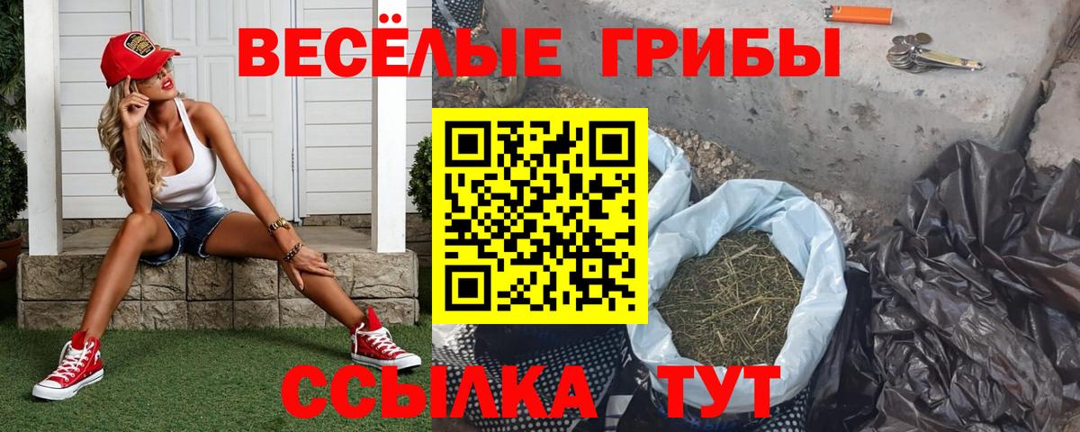 Галлюциногенные грибы прущие грибы Гусиноозёрск